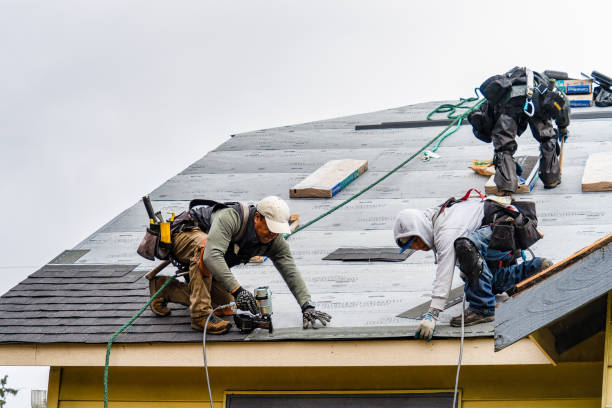 Professional Storm Damage Roof Repair technician working in Leonard, ND